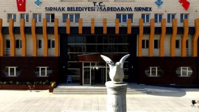  fotoğrafı