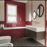 Kırmızı banyo tasarımları