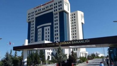  fotoğrafı
