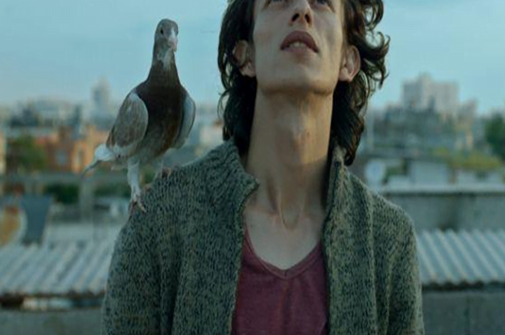 kemal-burak-alper