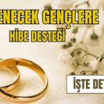 Evlilik Öncesi Hibe ve Çeyiz Desteği: E-Devlet Başvuru Ekranı Rehberi ve Süreç Detayları