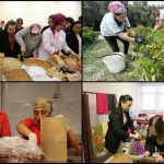 Kadın Kooperatiflerine Devlet Desteği: Kapsam, Etki ve Gelecek Perspektifleri