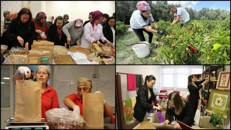 Kadın Kooperatiflerine Devlet Desteği: Kapsam, Etki ve Gelecek Perspektifleri